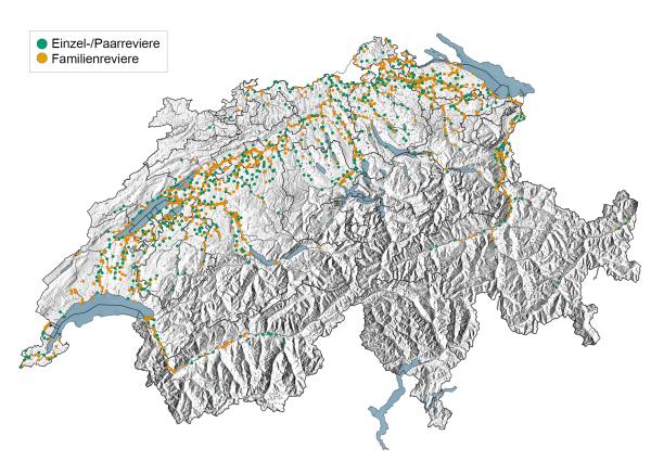 Verbreitungskarte des Bibers in der Schweiz 2022 (c) info fauna, swisstopo Verbreitungskarte des Bibers in der Schweiz 2022