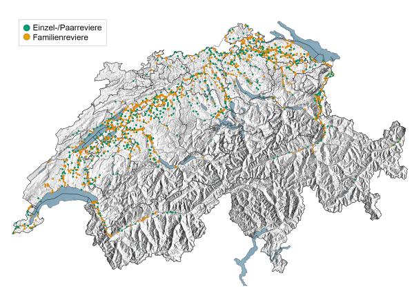 Verbreitungskarte des Bibers in der Schweiz 2022