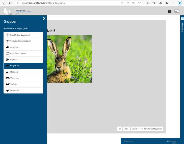 Elektronischer Bestimmungsschlüssel für Tierarten in der Schweiz