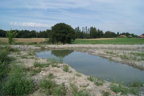 Temporär wasserführendes Gewässer 