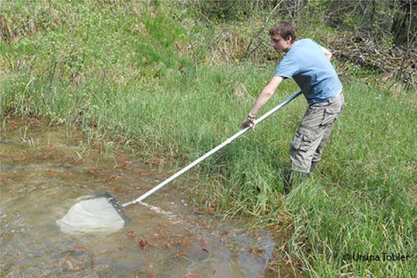 Keschern nach Amphibien (© Ursina Tobler) Person am Teichrand mit einem Kescher
