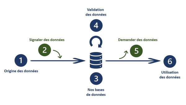 Schéma explicatif du flux de données d'info fauna