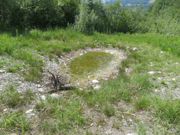 Etang à moitié rempli d'eau