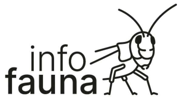 Logo info fauna