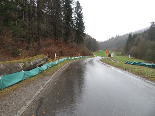 Amphibienzaun entlang einer Strasse