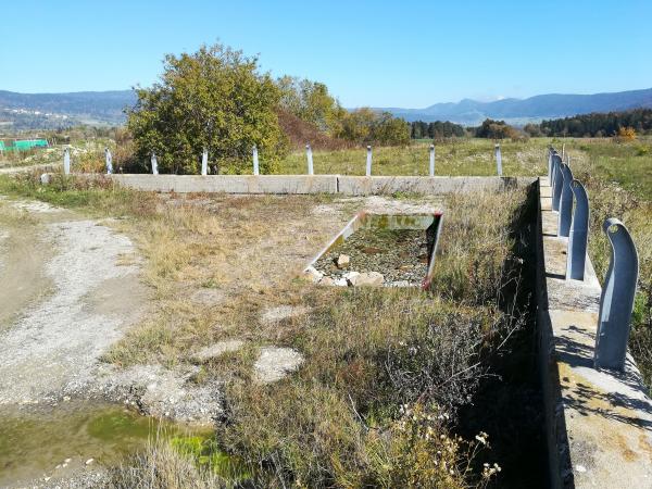 Cuvette creusée dans le sol pour les amphibiens