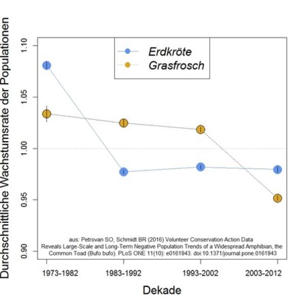 Graphische Darstellung der Wachstumsrate einer Amphibienpopulation (aus: Petrovan et. al. 2016)