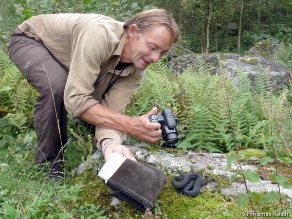 Jean-Claude Monney fotografiert eine Schlange