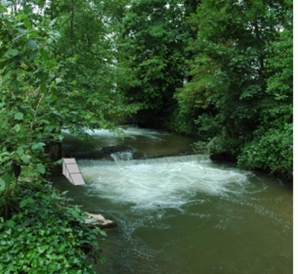Rampe à castor