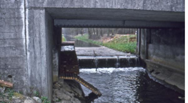 Rampe à castor