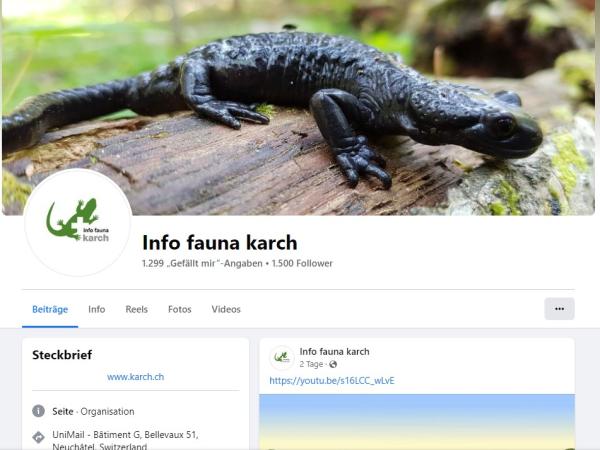 facebook Seite der karch