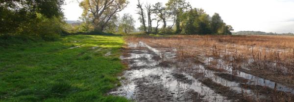 Parcelle inondée