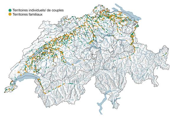Carte de distribution du castor en Suisse