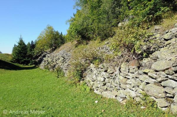 Mur de soutènement au bord d'une prairie extensive