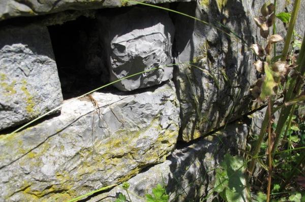 Des interstices dans un mur à pierre sèche