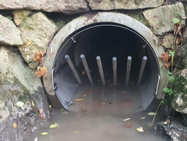 Biberschutzrohr als Präventionsmassnahme zum Schutz von Infrastrukturanlagen