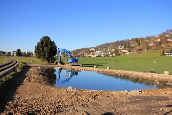 Neu erstellter, flacher Weiher im Landwirtschaftsgebiet