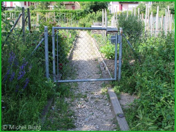 Portail de jardin avec espace adapté aux déplacements des petits animaux (© Michel Blant) Portail de jardin avec un espace entre le portail et le sol