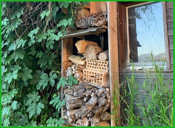 Hôtel à insectes avec branches d'arbres et briques perforées