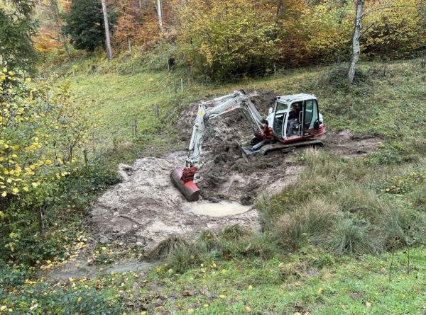 Travaux de dragage lors de la création d'un nouveau plan d'eau pour le crapaud accoucheur (© Mario Lippuner) Une pelleteuse creuse un trou en lisière de forêt