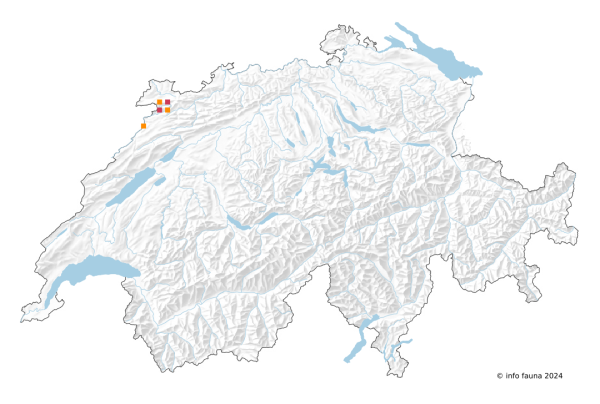 Carte de distribution de Unio mancus