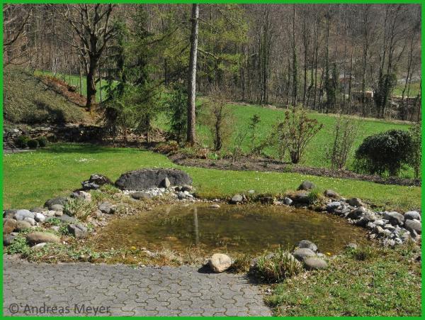 Petit étang de jardin circulaire bordé de pierres