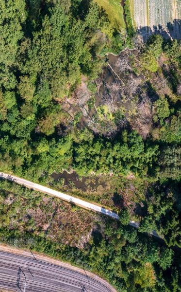 Prise de vue par drone d'un territoire de castors dans la forêt