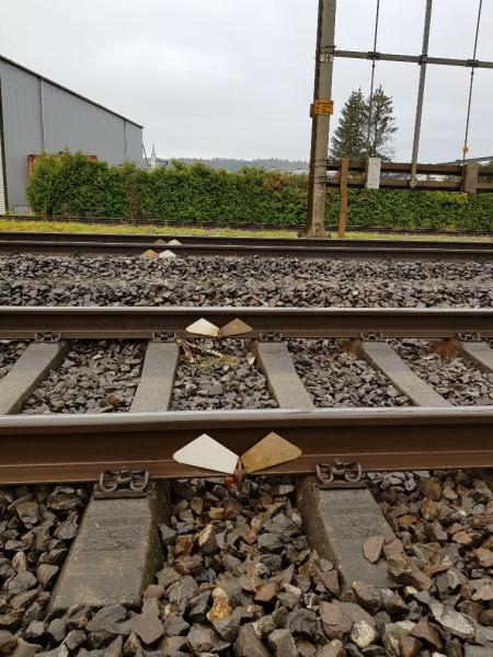Fossés dans le ballast ferroviaire et déflecteur pour la migration des amphibiens