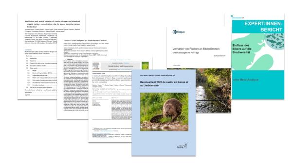 Publication projet castor national