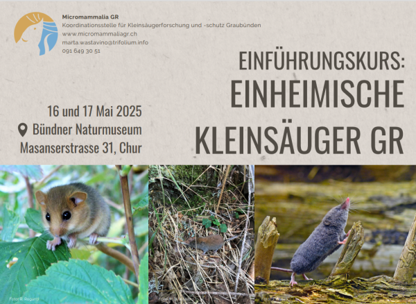 Plakat Säugerkurs mit Fotos von Kleinsäugern