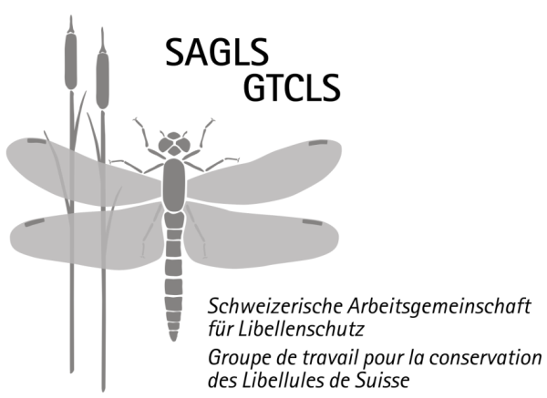 Logo avec Libellule