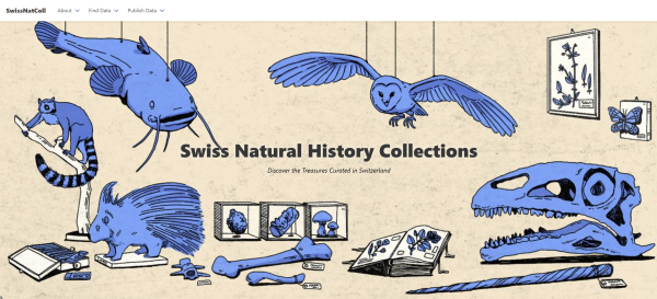 Swiss Natural History Collections © Illustrations by Amélie Cochet