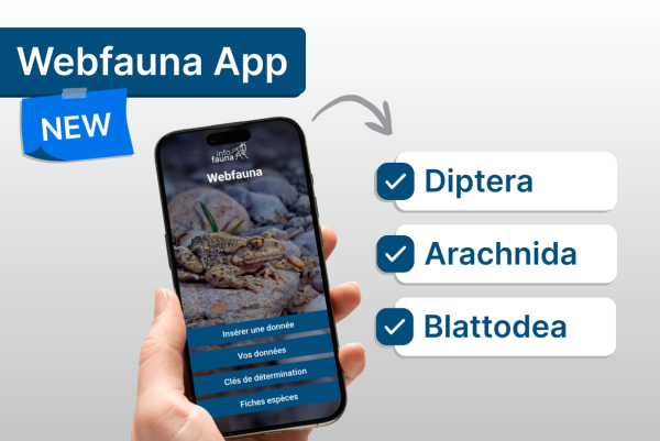 Visuel pour présenter Webfauna App et ses nouvelles listes d'espèces