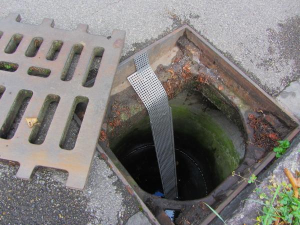 Échelles pour amphibiens (©Simon Gaus-Caprez). 