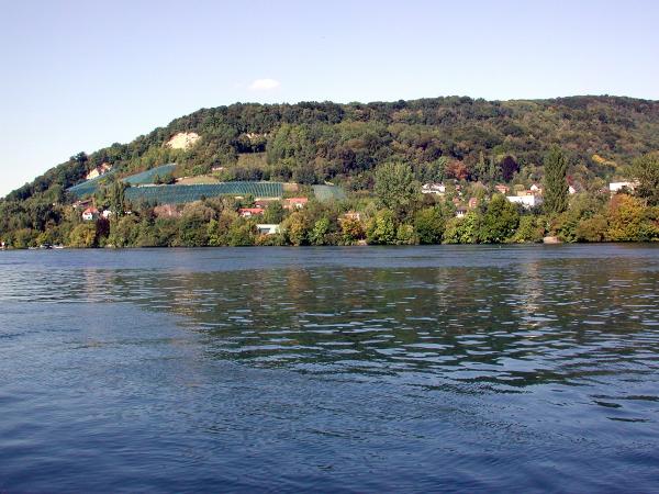 Odonates de Suisse Gomphe similaire , Gomphe semblable - Gomphus  simillimus 
