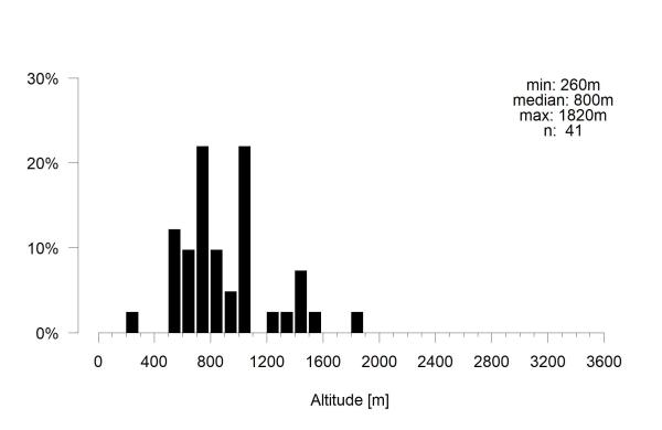 Wildbienen der Schweiz Dickschenklige Pelzbiene - Anthophora crassipes