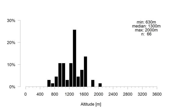 Les abeilles sauvages de Suisse Anthophore des murailles - Anthophora plagiata