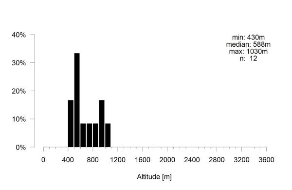 Les abeilles sauvages de Suisse Rophite cinq-épines - Rophites quinquespinosus