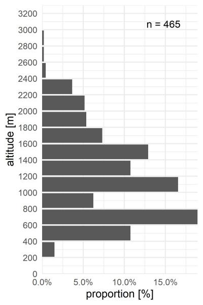 Carabes de Suisse  - Bembidion complanatum