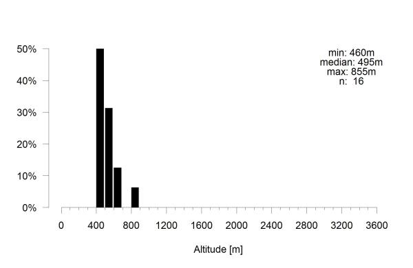 Les abeilles sauvages de Suisse Andrène des potentilles - Andrena potentillae