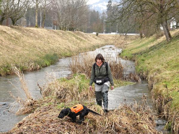 Les chiens détecteurs d’espèces (© Sarah Hummel)