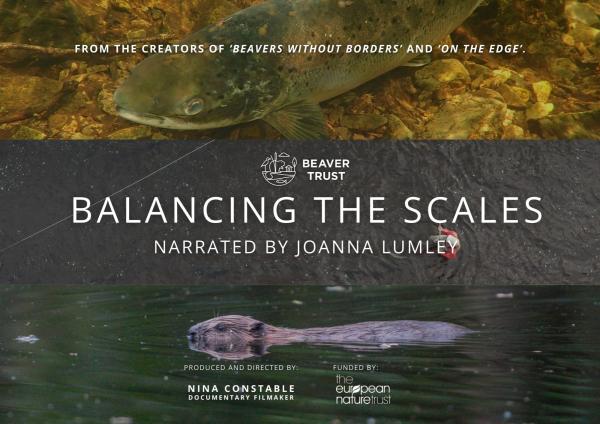 Balancing the Scales