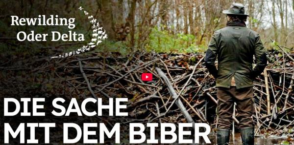 Die Sache mit dem Biber