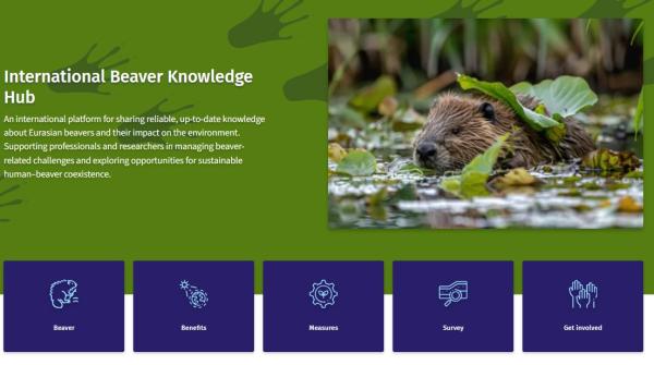 International Beaver Knowledge Hub