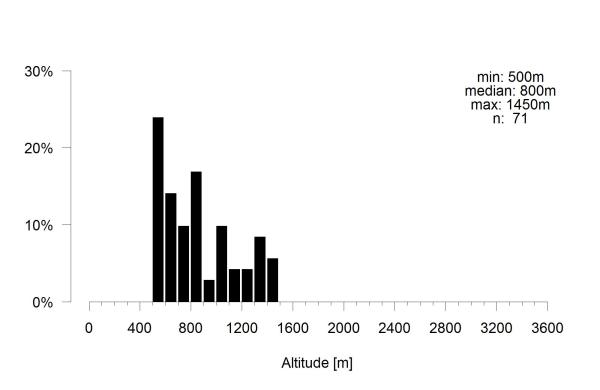 Les abeilles sauvages de Suisse  - Colletes nigricans