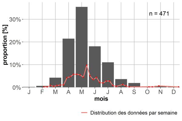 Carabes de Suisse  - Acupalpus flavicollis