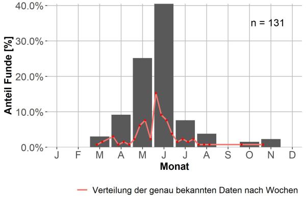   - Badister meridionalis