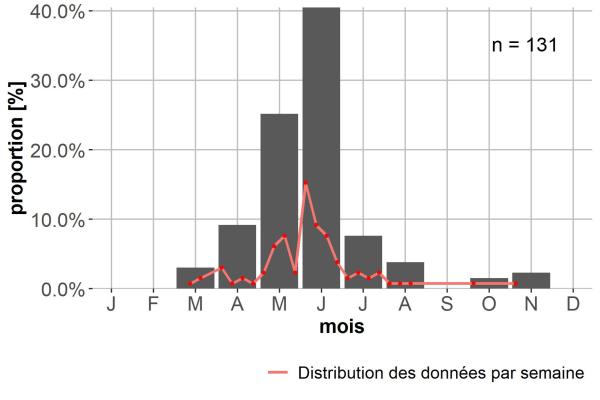 Carabes de Suisse  - Badister meridionalis