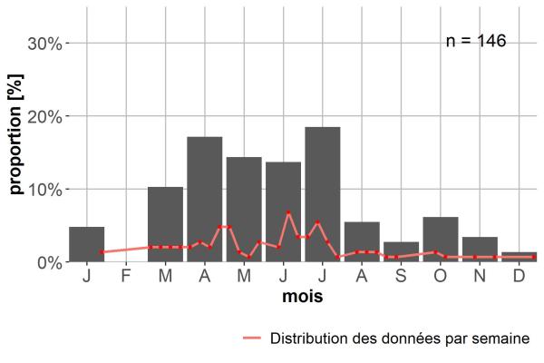 Carabes de Suisse  - Badister peltatus peltatus