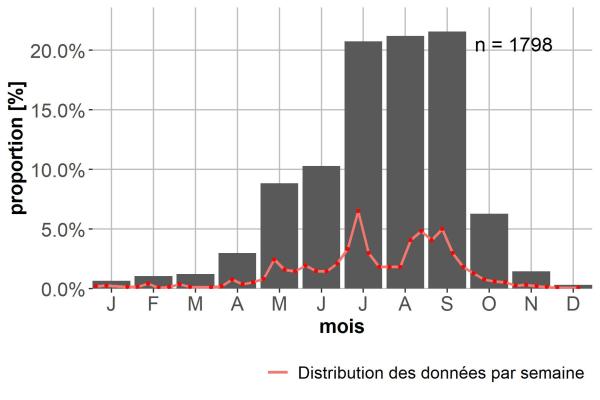 Carabes de Suisse  - Carabus coriaceus coriaceus